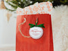 A white glitter cardstock Merry Christmas gift tag with red ink is shown hanging from red gift bag. The bag sits under a Christmas tree against a white background.