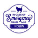 in case of emergency blue pet sticker with a cat silhouette and the name Robin on it